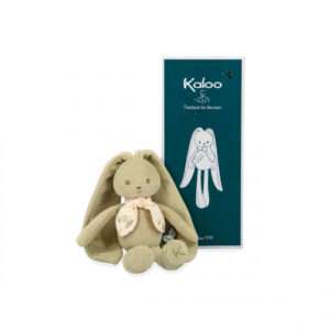 Pantin lapin Vert - 25 cm