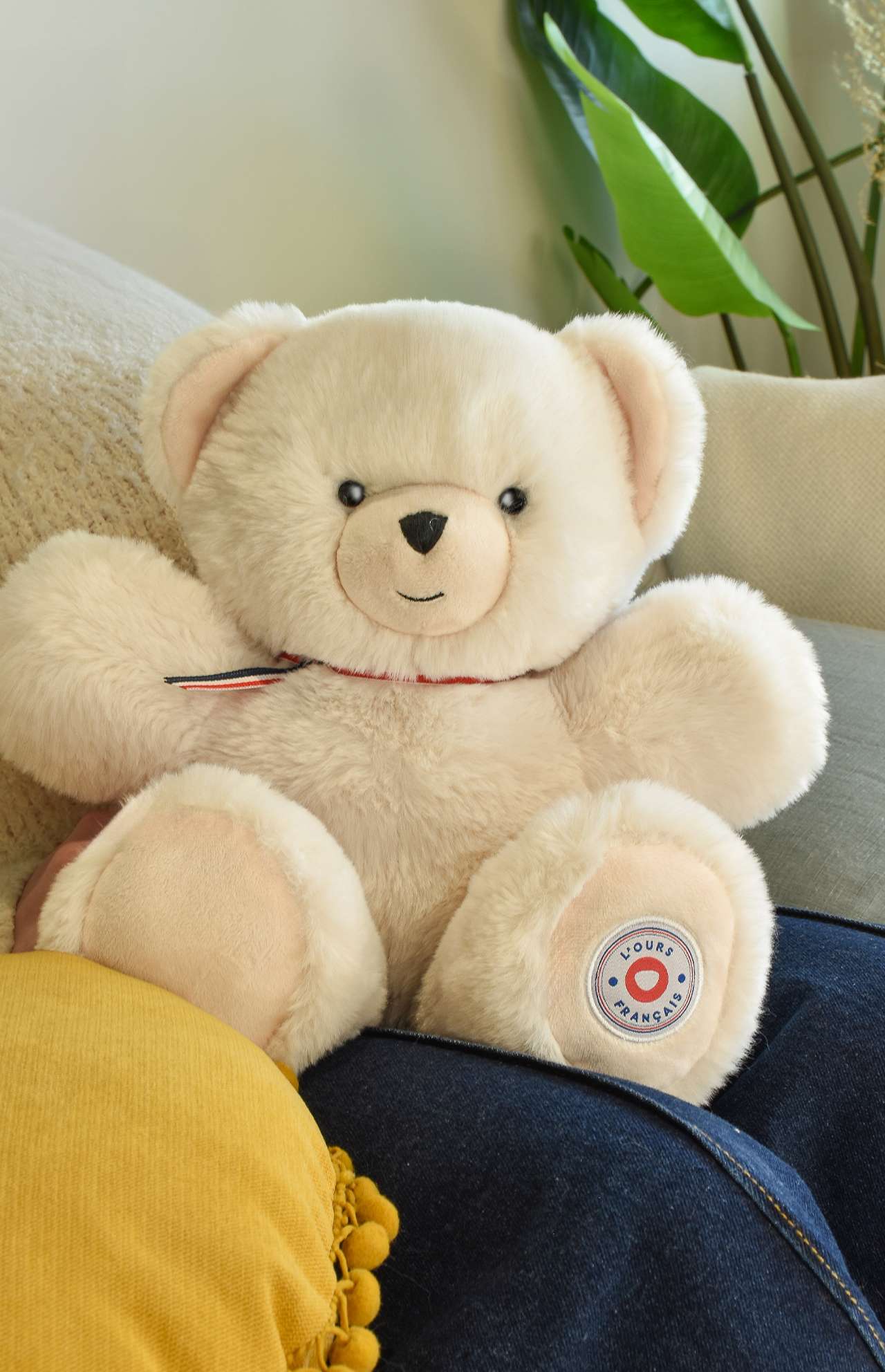Ours Français articulé 35 cm – Ivoire