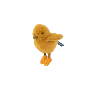 Tout autour du monde Poussin