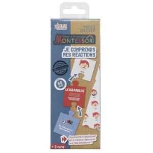 Jeu Je Comprends les Emotions