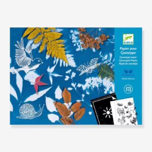 Cyanotype 12 papiers créatifs Elodie Nouhen