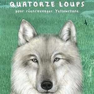 Quatorze loups