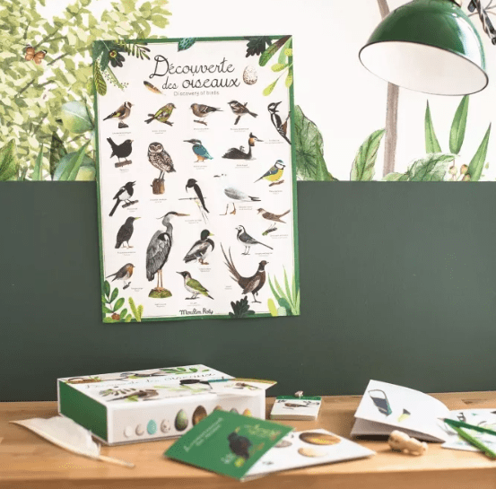 Coffret découverte oiseaux - Le Botaniste - Le jardin du moulin – Image 3