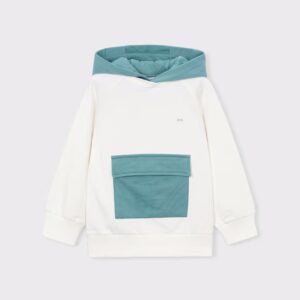 Pull banc et sauge avec capuche