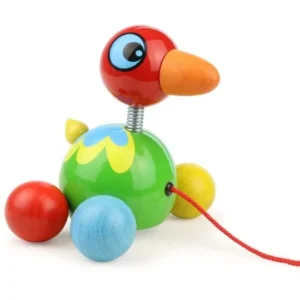 baby oiseau des îles
