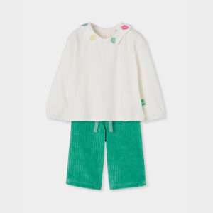 Ensemble vert et feuilles colorés