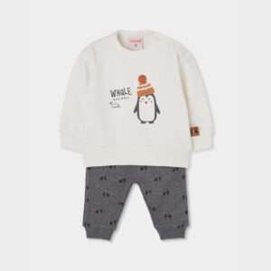 Ensemble thème Banquise Pingouins