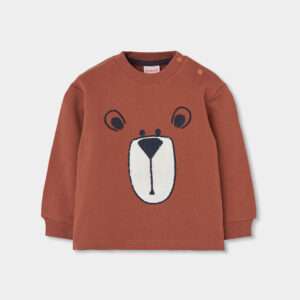 Pull marron ours