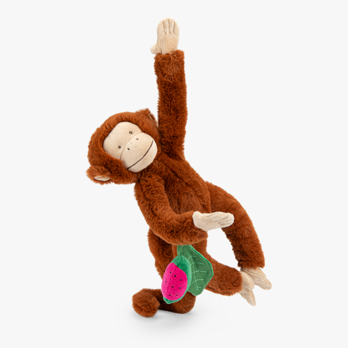 Singe mochica d'activités à suspendre la forêt Mawa – Image 2