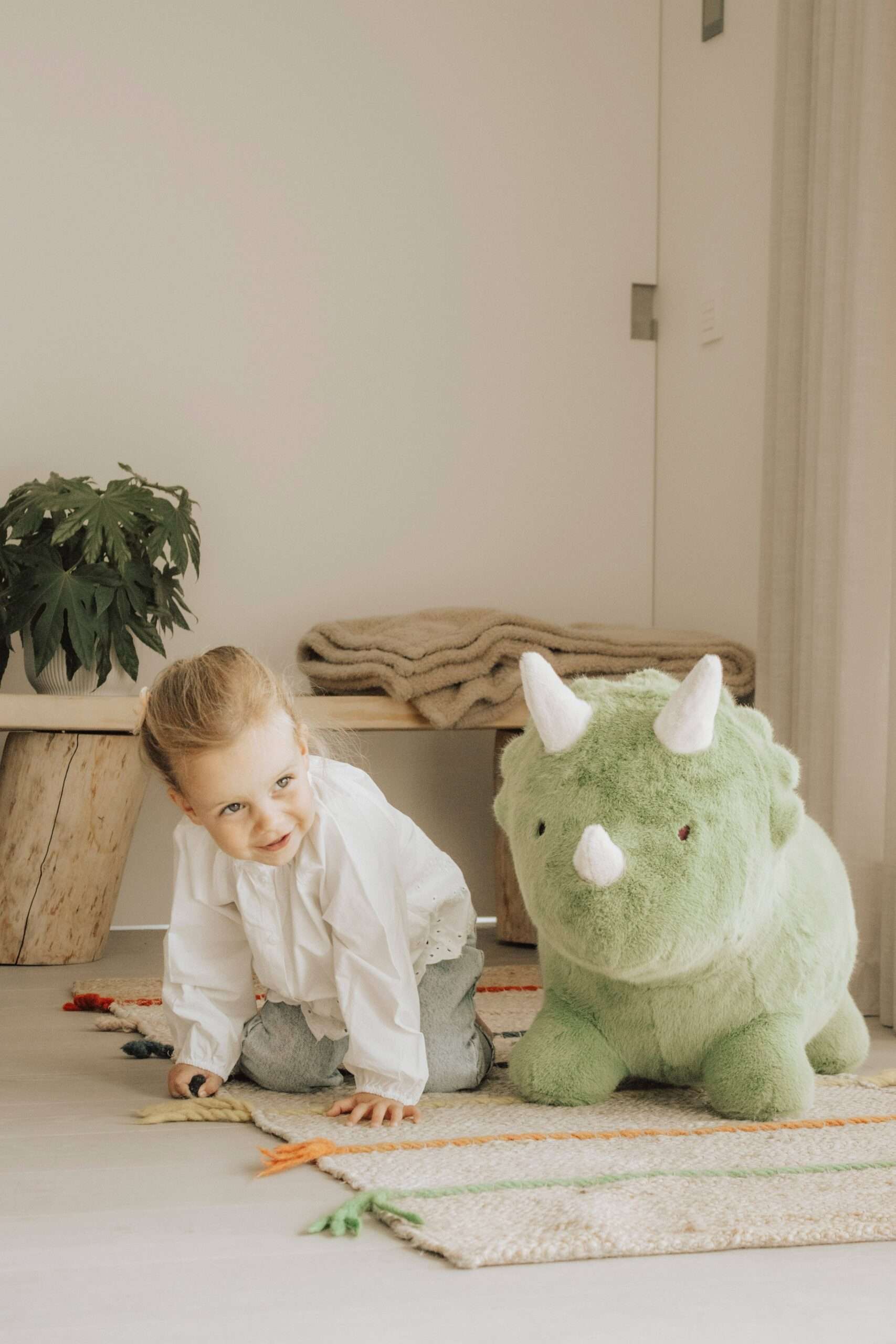 Porteur Sauteur Dino