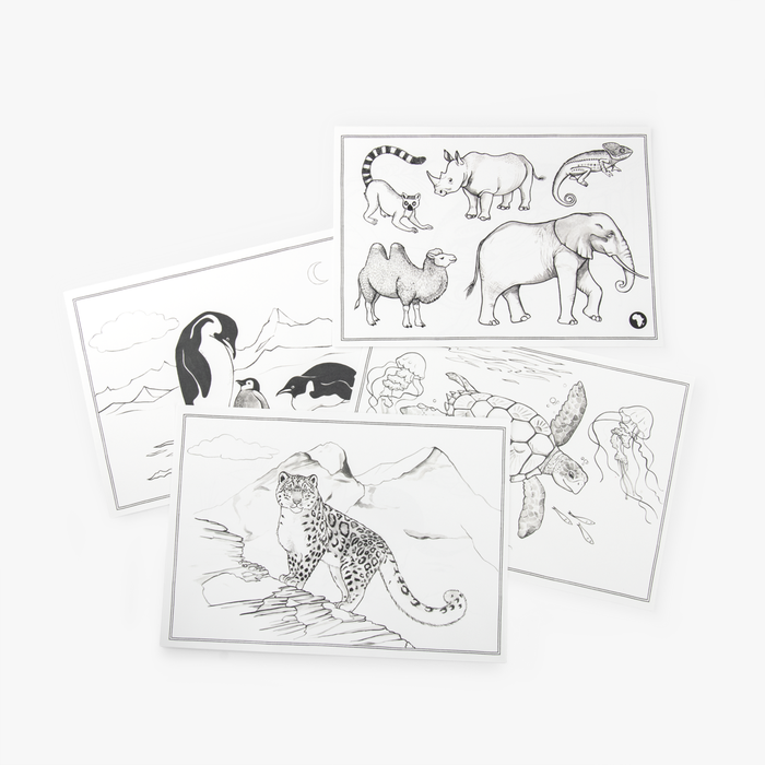 Modèles de dessin Kidywolf – Image 2